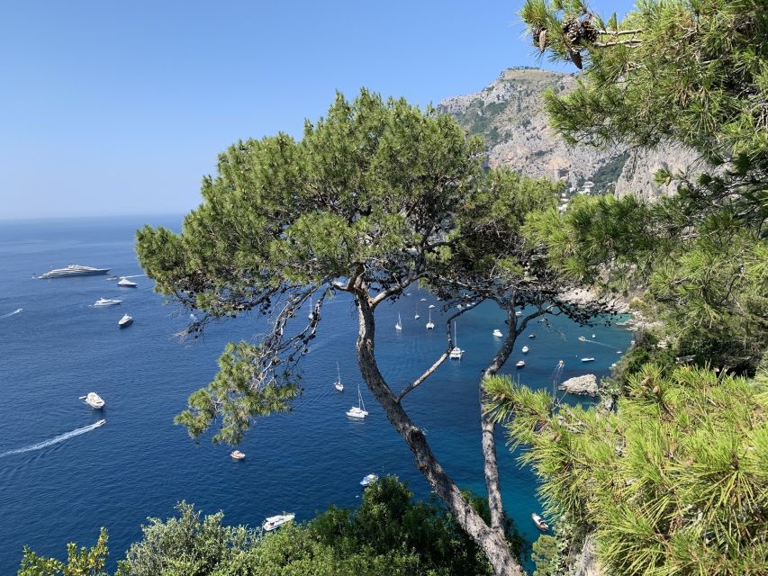 From Sorrento: Day Trip to Capri & Anacapri with Blue Grotto - Key points at a glance