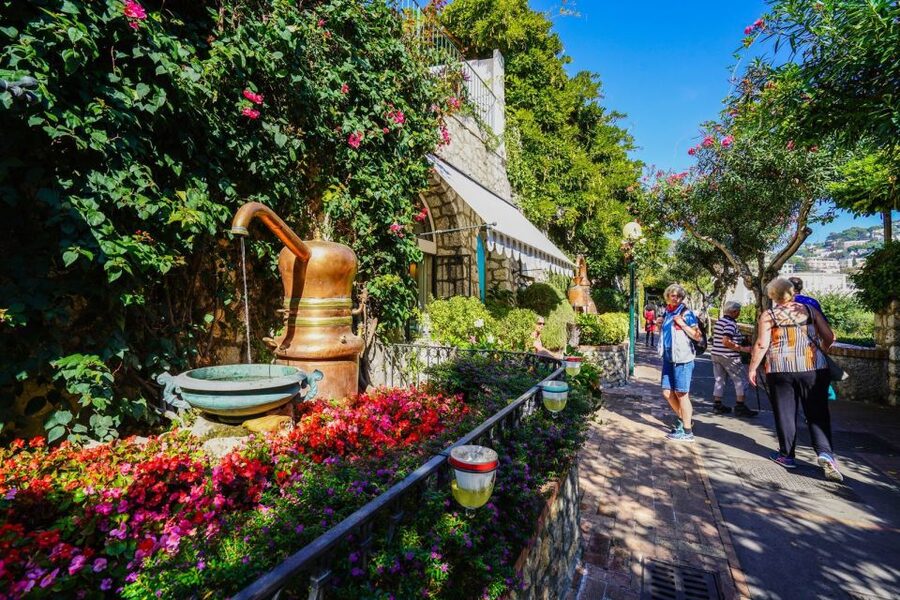 From Sorrento: Day Trip to Capri & Anacapri with Blue Grotto - What the $178.42 price really covers