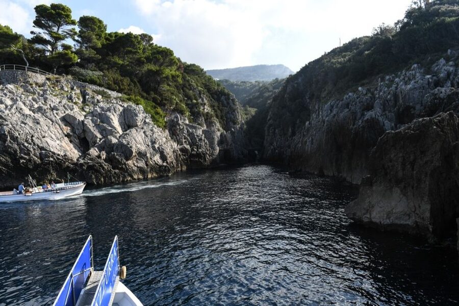 From Sorrento: Day Trip to Capri with Blue Grotto - Transport, lunch, and the cost of free time