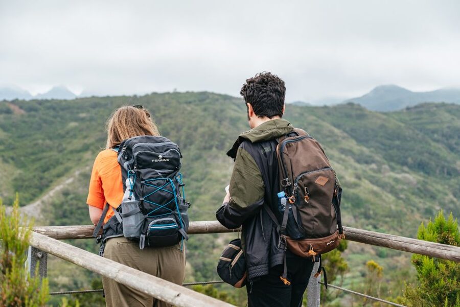 From South Tenerife: La Gomera Island Day Trip with Lunch - Key points to know before you book