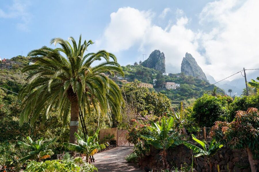 From South Tenerife: La Gomera Island Day Trip with Lunch - Lunch with Silbo Gomero