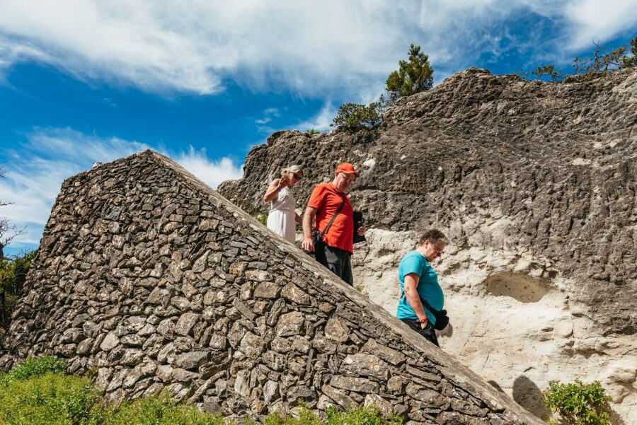 From South Tenerife: La Gomera Island Day Trip with Lunch - Transport, comfort, and the day’s pace