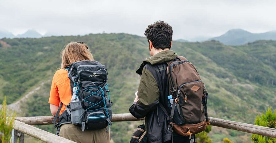 From South Tenerife: La Gomera Island Day Trip with Lunch - Getting from south Tenerife to San Sebastián