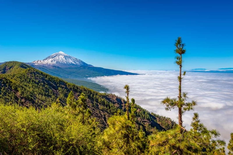 From South Tenerife: Mount Teide Hiking Day Trip & Cable Car - Should you book the Teide summit hike?