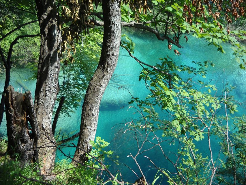 From Split: Plitvice Lakes Full-Day Trip - Entering the lower lakes and the Great Waterfall