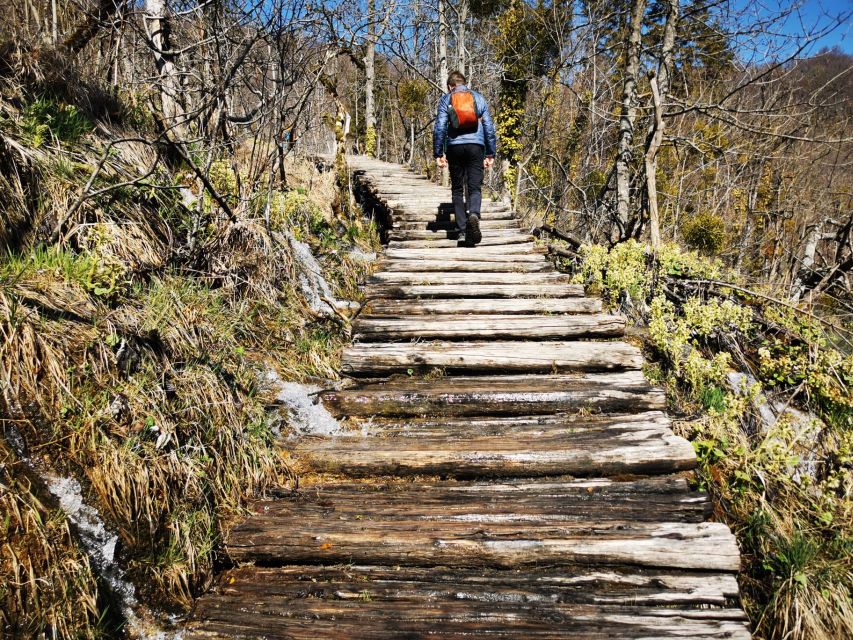 From Split: Plitvice Lakes Full-Day Trip - Weather, crowds, and the best feel of the park