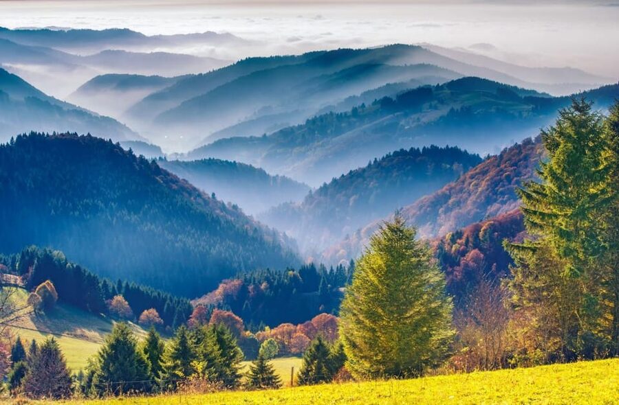 From Strasbourg: Black Forest and Baden Baden Day Trip - Should you book the Baden-Baden and Black Forest trip?