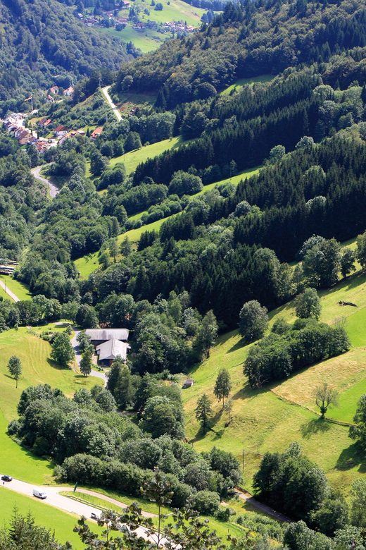 From Strasbourg: Black Forest and Baden Baden Day Trip - Crossing from Strasbourg into Baden-Württemberg