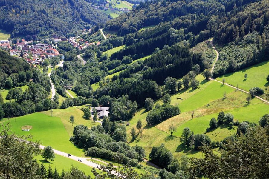 From Strasbourg: Black Forest and Baden Baden Day Trip - Mummelsee: the day’s main free-time stop