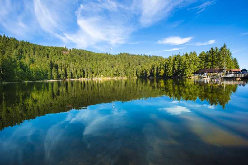 From Strasbourg: Black Forest and Baden Baden Day Trip - The wine route and Sasbachwalden