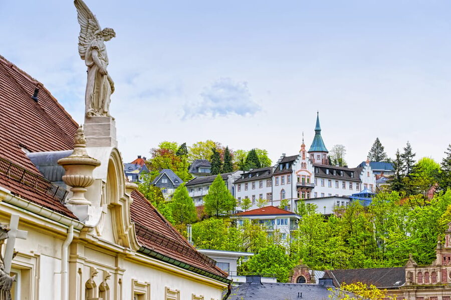 From Strasbourg: Black Forest and Baden Baden Day Trip - What the small-group van changes