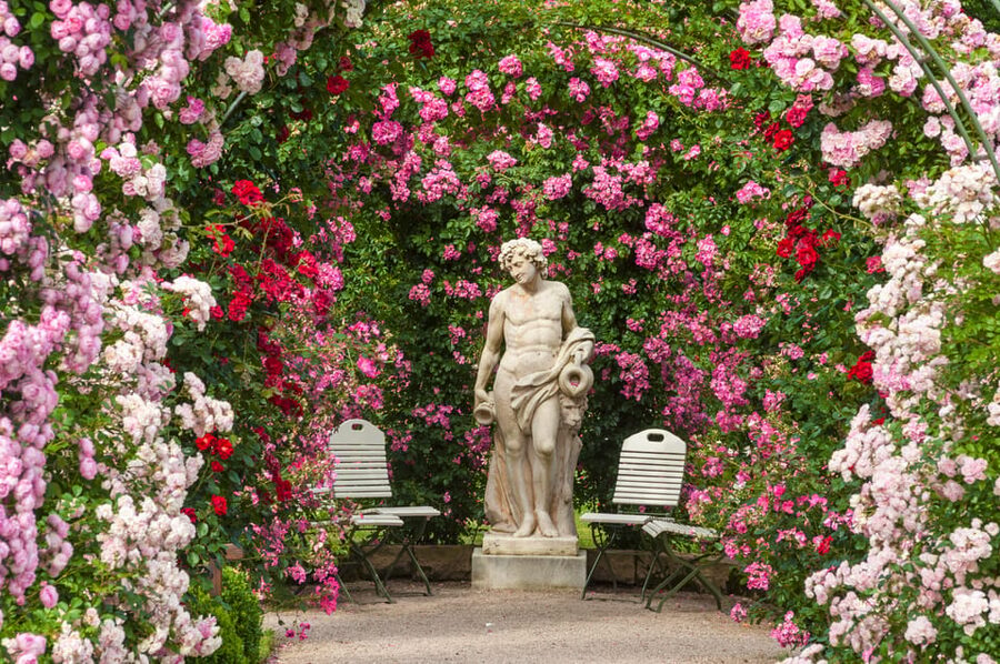 From Strasbourg: Black Forest and Baden Baden Day Trip - Who will enjoy this day most?