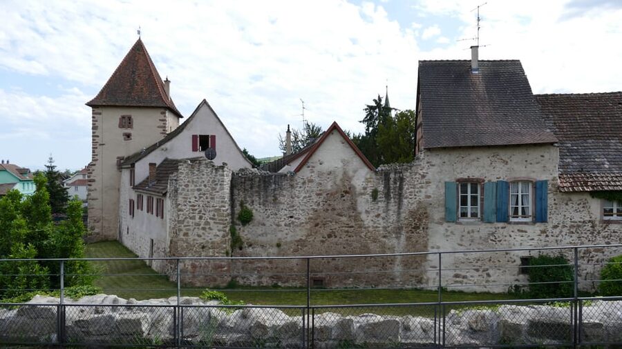From Strasbourg: Medieval Villages & Wine Tasting Day Trip - How much value do you get for $147?