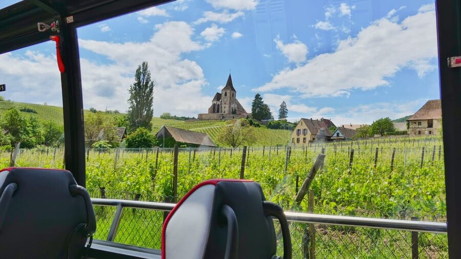 From Strasbourg: Medieval Villages & Wine Tasting Day Trip - Eguisheim closes the day with a short walk
