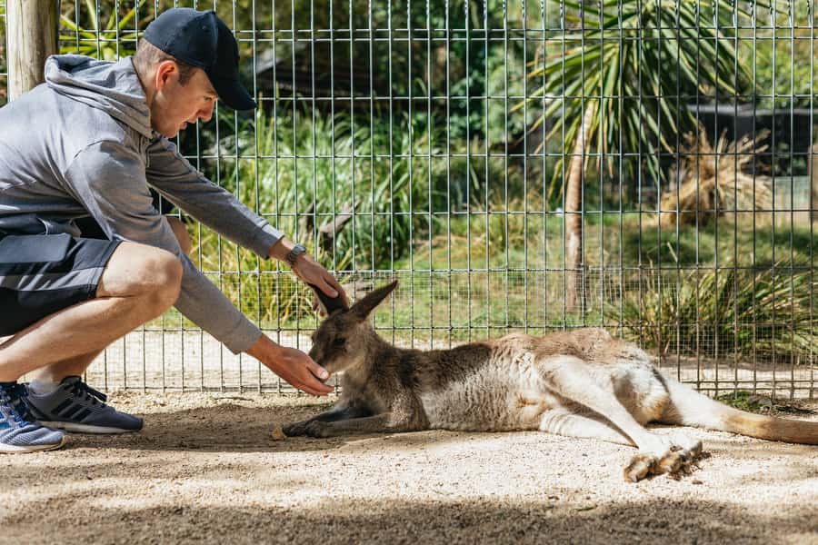 From Sydney: Blue Mountains Full-Day Trip - Leura Village gives you lunch and breathing room