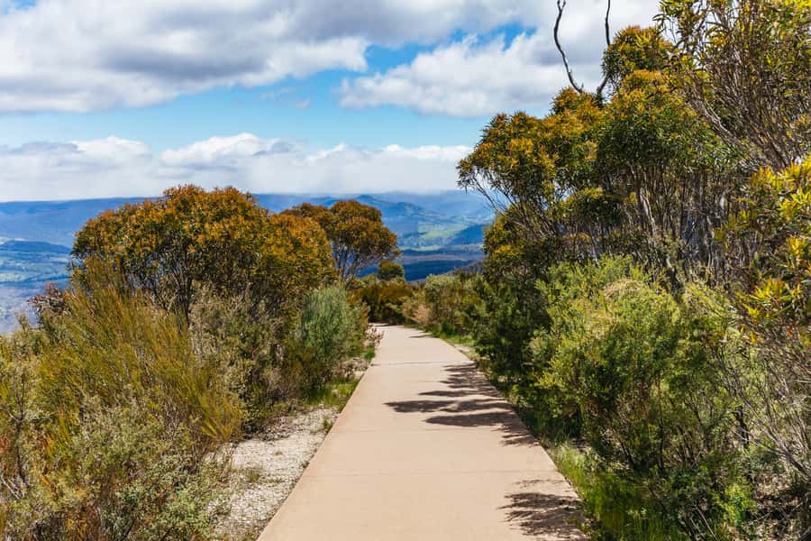 From Sydney: Blue Mountains Full-Day Trip - Practical advice before you reserve