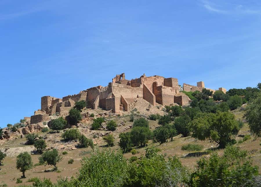 From Taghazout/Agadir: Taroudant and Tiout Day Trip & Tajine - Tiout and its palm oasis