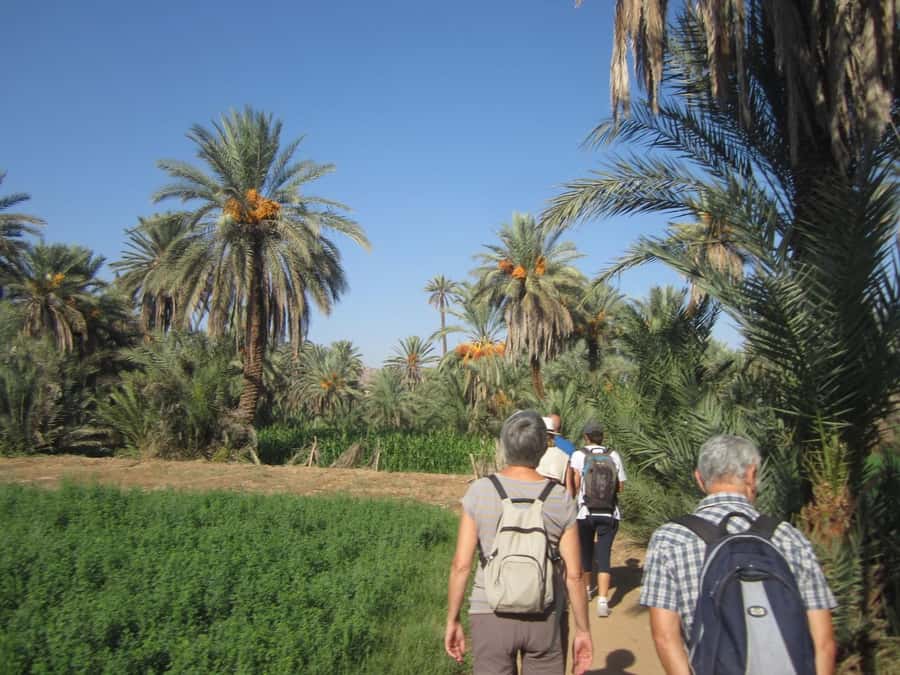 From Taghazout/Agadir: Taroudant and Tiout Day Trip & Tajine - Who should book this day trip?