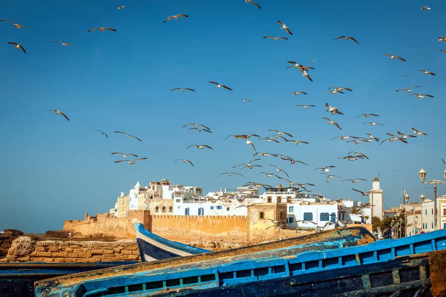 From Taghazout: Medina of Essaouira Guided Day Trip - Coffee in a Berber village