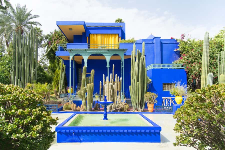 From Taghazout or Agadir: Marrakech Guided Day Trip - Jemaa el Fna and the free-time choice
