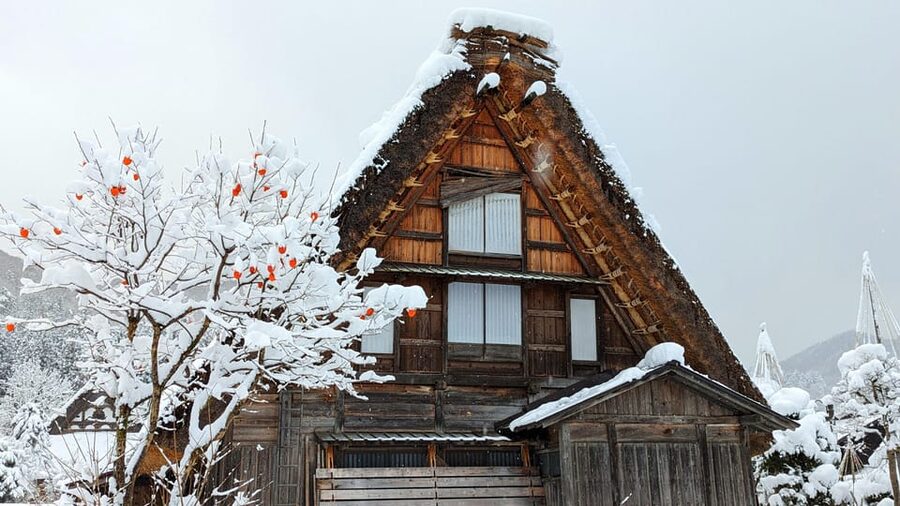 From Takayama: Guided Day Trip to Takayama and Shirakawa-go - Why this day trip works so well