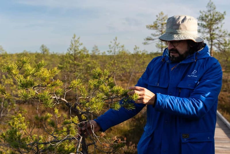 From Tallinn: Day Trip to Lahemaa National Park - Sagadi or Palmse: Estonia’s manor country