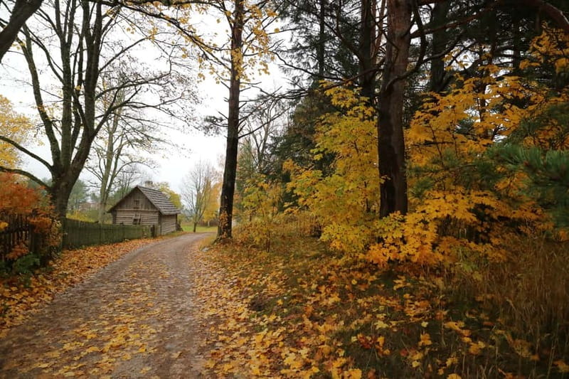 From Tallinn: Day Trip to Lahemaa National Park - Käsmu or Altja and the Baltic shore