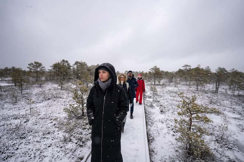 From Tallinn: Day Trip to Lahemaa National Park - What the small van changes