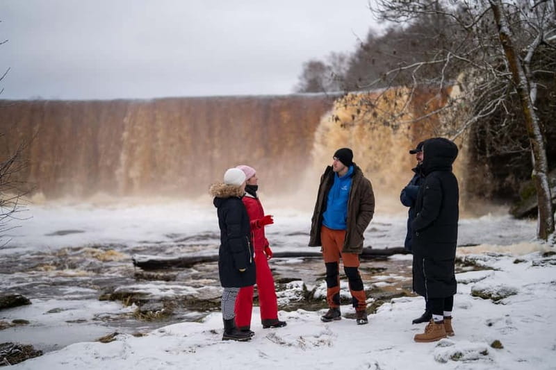 From Tallinn: Day Trip to Lahemaa National Park - Who should book this Lahemaa day trip?