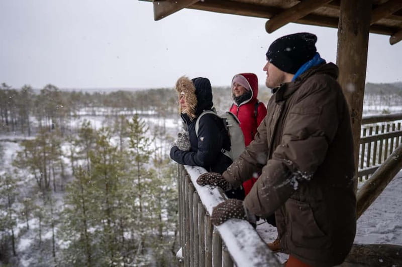 From Tallinn: Day Trip to Lahemaa National Park - Walking across the Viru bog