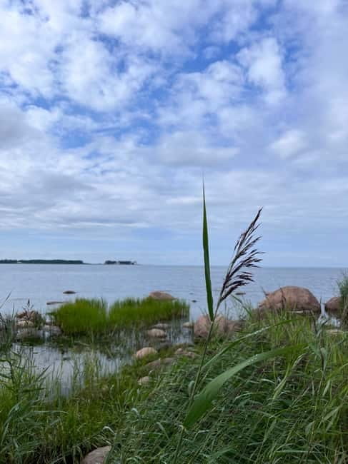 From Tallinn: Lahemaa National Park Day Trip - Why Lahemaa makes a strong day outside Tallinn