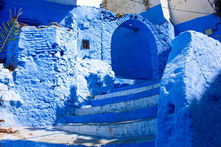 From Tangier: Chefchaouen Day Trip with Local Guide - Who should book this day trip?