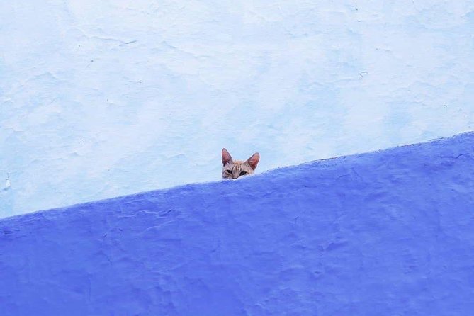From Tangier: Special Day Trip to Chefchaouen and Tetouan - Key points at a glance
