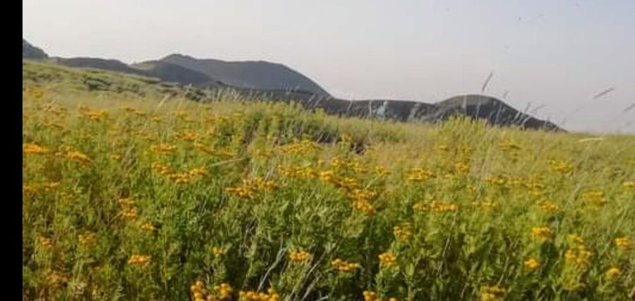 From Taormina, Naxos, & Letojanni: Mount Etna Half-Day Trip - From Taormina to Etna, the drive sets the tone
