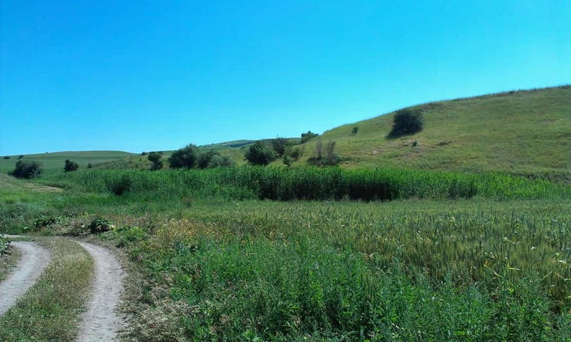 From Tashkent: Chimgan Valley Hiking Day Trip - What the walk is like
