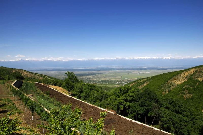 From Tbilisi: Kakheti & Sighnaghi Guided Day Trip with Wine - Why Kakheti makes a good day from Tbilisi