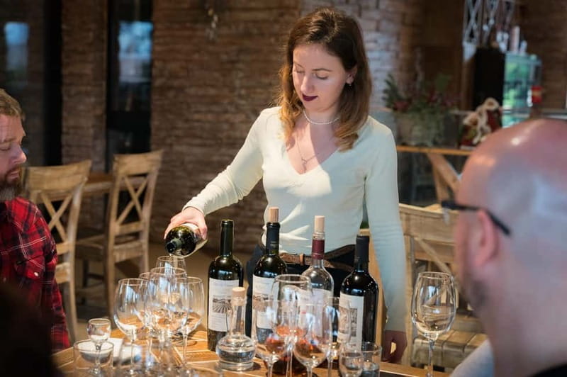 From Tbilisi: Kakheti & Sighnaghi Guided Day Trip with Wine - Who should book this Kakheti day trip?