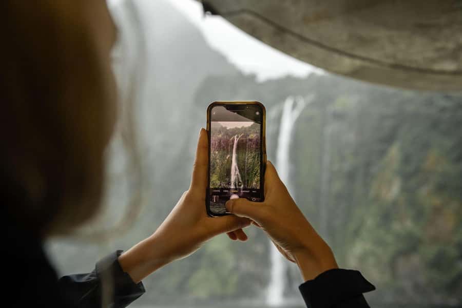 From Te Anau: Milford Sound Cruise and Coach Day Trip - Is $136 good value?