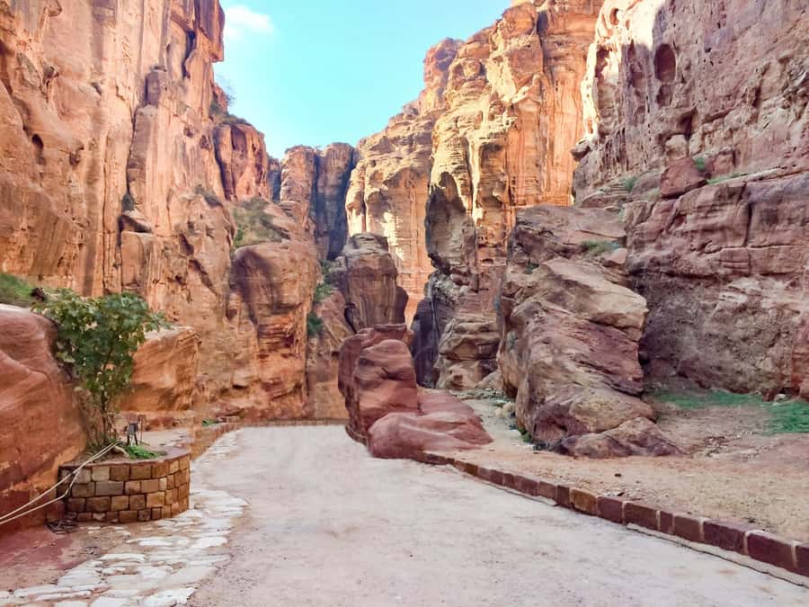 From Tel Aviv: Full-Day Trip to Petra with Roundtrip Flights - Petra in one long day from Tel Aviv