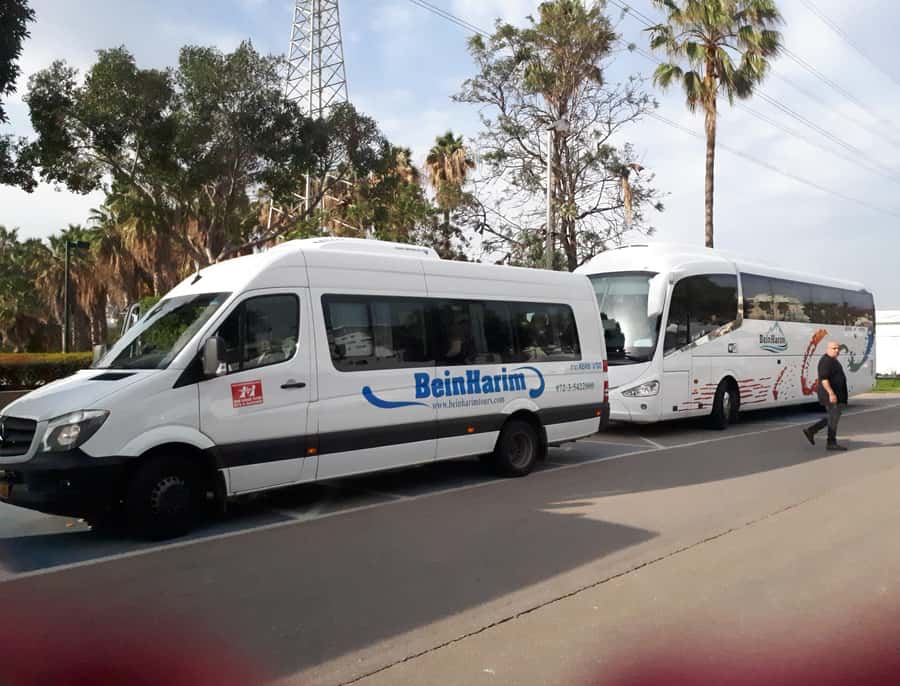 From Tel Aviv: Guided Day Trip to Nazareth & Sea of Galilee - Capernaum, the city associated with Jesus