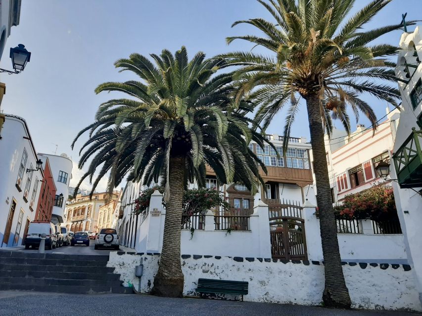 From Tenerife: Day Trip to La Palma Volcanic Landscapes - Key points at a glance