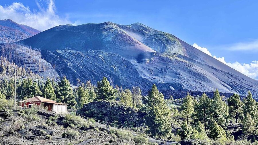 From Tenerife: Day Trip to La Palma Volcanic Landscapes - What to bring and how to prepare