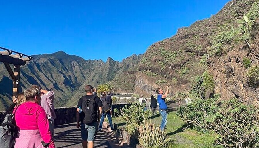 From Tenerife: La Gomera Day Trip with Guide - Garajonay National Park and its laurel forest