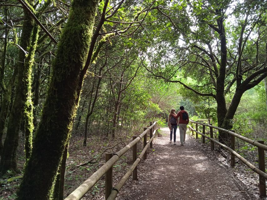 From Tenerife: La Gomera Day Trip with Guide - Lunch with Silbo Gomero