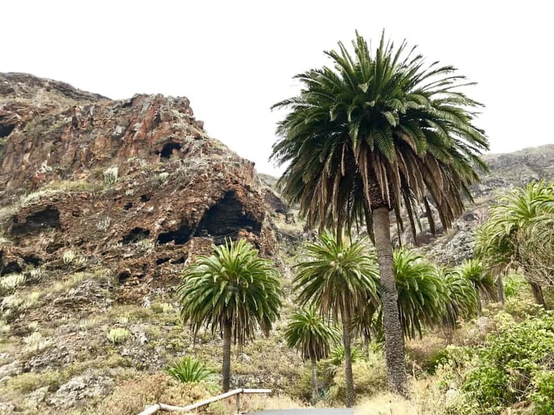 From Tenerife South: La Gomera Full-Day Trip with Transfers - Why this day trip gives you a real taste of La Gomera