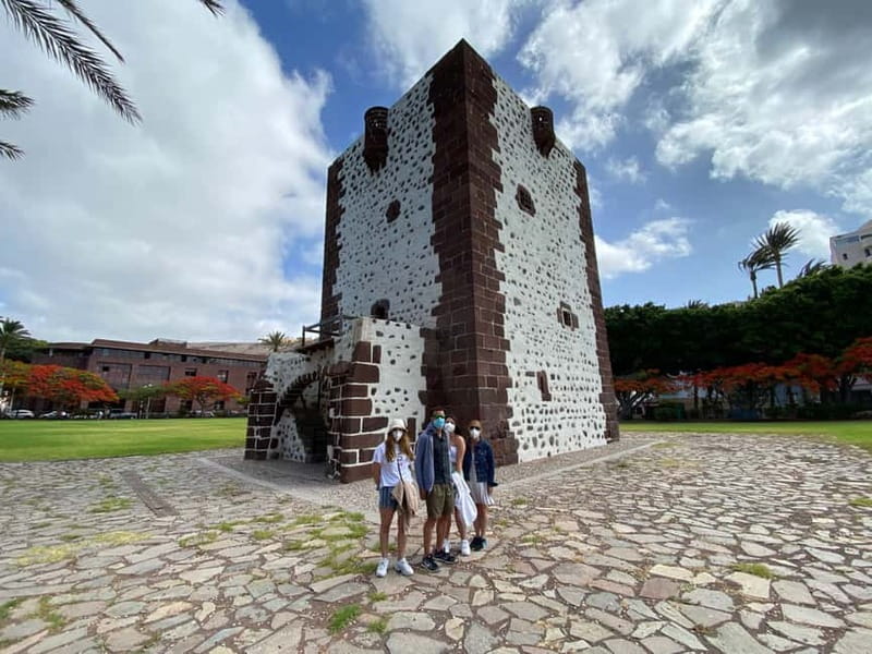 From Tenerife South: La Gomera Full-Day Trip with Transfers - Walking beneath the Laurisilva in Garajonay National Park