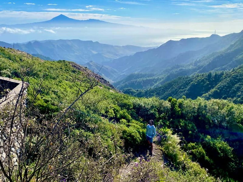 From Tenerife South: La Gomera Full-Day Trip with Transfers - A short forest walk and the House of Memory
