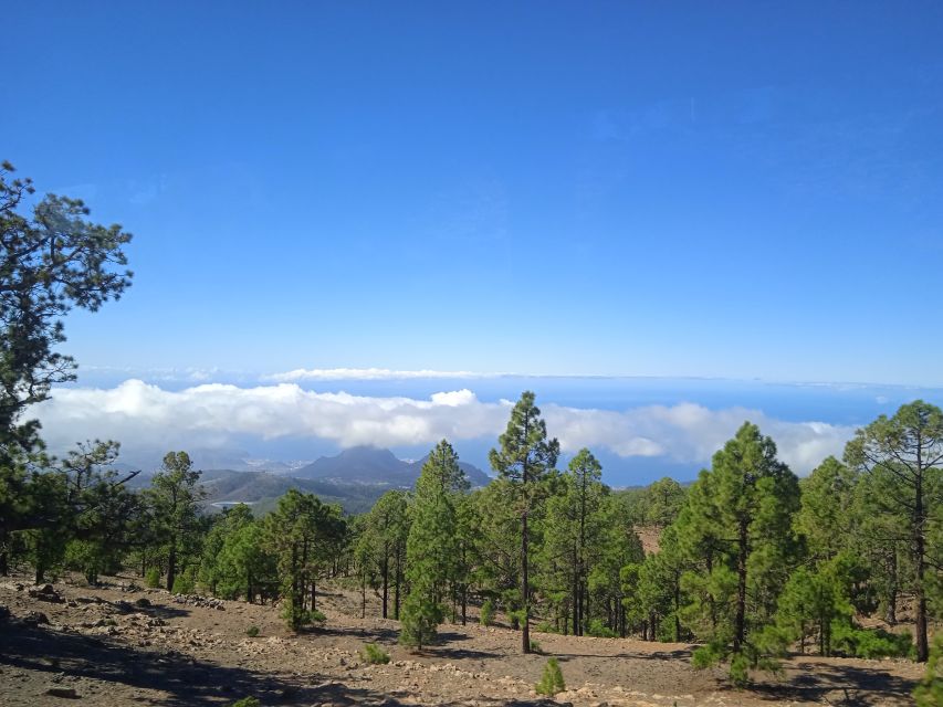 From Tenerife: Teide National Park Guided Day Trip by Bus - Why Teide National Park feels so different from coastal Tenerife