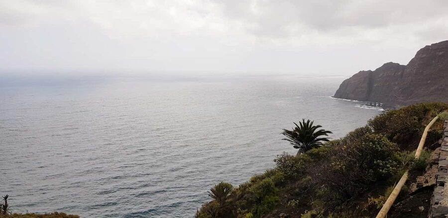 From the south of Tenerife: La Gomera full-day trip - Walking through Garajonay’s laurel forest