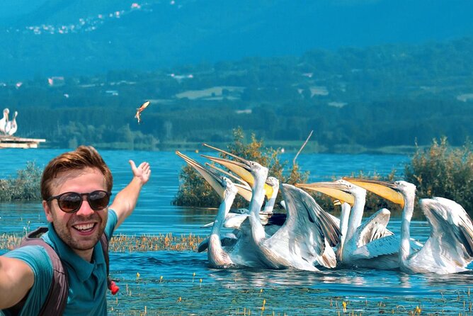 From Thessaloniki: Private Day Trip to Kerkini Lake - Key points to know before you go